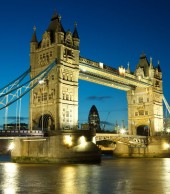 Etiam commodo convallis